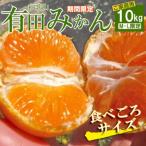 有田みかん 約10kg