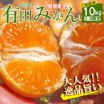 ご 有田みかん 約10kg