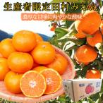 紀州有田産濃厚完熟温州みかん 約5kg