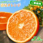 紀州有田産清見オレンジ 7.5kg