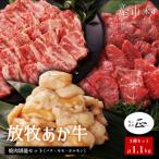 阿蘇うぶやま村の放牧あか牛焼肉堪能セット