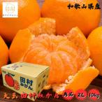 田村みかん 秀品 約10kg