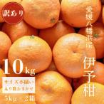 愛媛八幡浜産 訳あり 宮内伊予柑 10kg