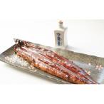 ふるさと納税 湯浅町 【湯浅町×有田川町】うなぎ蒲焼2本&角長特製蒲焼タレ1本セット