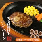 ふるさと納税 白老町 黒毛和種和牛ハンバーグ(白老産)　120g×5枚　計600g