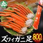 ふるさと納税 弟子屈町 ズワイガニ足 約800g 2-3人前 蟹ハサミ・ガイド付 ボイル済み 北海道 弟子屈町 3375