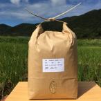 自然栽培のお米2kg 玄米