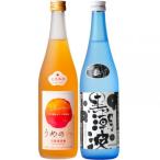 焼酎 黒潮波 くろしおなみ 720mlと紀州完熟南高梅