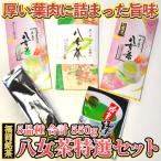 お茶類 緑茶 茶葉 ティーバッグ 福岡銘茶八女茶