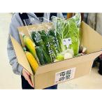 季節の久御山野菜詰合せ