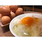 丹波奥郷の卵 やまぶき小玉67個