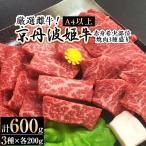 ふるさと納税 亀岡市 【A4〜A5】厳選雌牛!京丹波姫牛赤身希少部位焼肉3種盛り