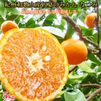 初夏のみかん なつみ 5kg