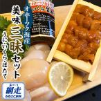 オホーツク美味三昧セット うに いくら ほたて