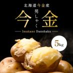 ふるさと納税 今金町 北海道今金産【今金男爵】じゃがいも 5kg
