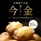 ふるさと納税 今金町 北海道今金産【今金男爵】じゃがいも 　10kg