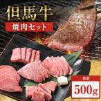 ふるさと納税 新温泉町 但馬牛焼肉セット【500g】