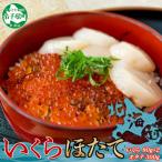 ふるさと納税 弟子屈町 いくら醤油漬け 80g×2個 & ホタテ 300g 海鮮丼セット 北海道 弟子屈町 3239