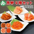 ふるさと納税 弟子屈町 魚卵食べ比べセット 各150g前後 いくら醤油 明太子 たら子 とびっこ 北海道 弟子屈町 2957