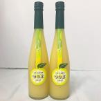 日向夏シロップ 500ml