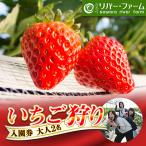 さわらリバー ファーム いちご狩り 入園券