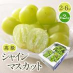 高級 シャインマスカット 約2kg