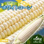 訳あり ご 瀬戸内ホワイトコーン 約6kg