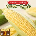 瀬戸内イエローコーン 約3kg