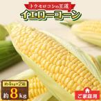 訳あり ご 瀬戸内イエローコーン 約8kg