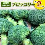 ブロッコリー 約2kg