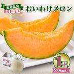 おいわけメロン 糖度16度以上 2.0kg以上×1玉