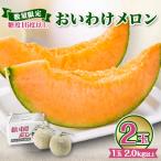 ふるさと納税 安平町 【2026年発送】おいわけメロンパック 糖度16度以上 2.0kg以上×2玉(数量限定)