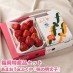 博多名物 あまおう &amp;ふくや 味の明太子