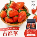 ショッピングふるさと納税 いちご ふるさと納税 天理市 古都に咲く真っ赤な華いちご「古都華」(270g以上/3L〜2Lサイズ/9〜11粒)×2P　化粧箱入り