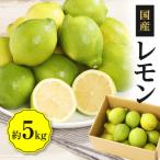 レモン 約5kg