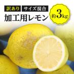 加工用レモン サイズ混合 約3kg
