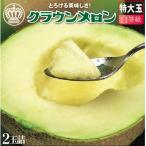 クラウンメロン 白等級 特大玉 2玉