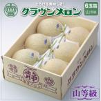 クラウンメロン 山等級 6玉詰
