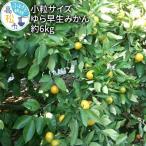 小粒サイズ ゆら早生みかん約6kg