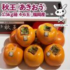 ブランド柿 秋王 約1.5kg