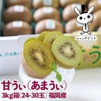 ブランドキウイ 甘うぃ 約3kg