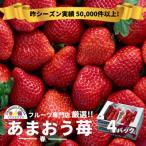 ふるさと納税 太宰府市 【2026年発送先行受付】【太宰府】フルーツ専門店厳選! 「あまおう苺」春4パック
