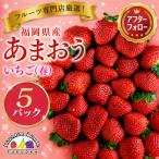フルーツ専門店が選んだ あまおう苺 春5パック