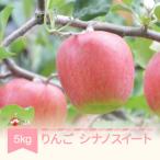 ふるさと納税 村山市 【りんご】「シナノスイート」 秀品 約5kg