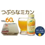 つぶらなカボス なつみかん果粒入り 190g×60本