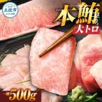 本マグロ 500g
