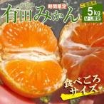 ご 有田みかん 約5kg