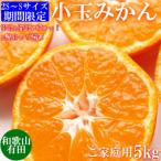 ふるさと納税 湯浅町 先行受付【ご家庭用】旨味凝縮有田みかん5kg(SS、Sサイズいずれか)【湯浅町】