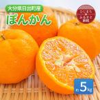ぽんかん 約5kg