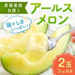 ショッピングふるさと納税 メロン ふるさと納税 御坊市 斎藤農園のアールスメロン(マスクメロン)　2玉(計3kg程度)≪先行受付分≫